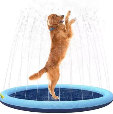 Cool Pup Splash Zone