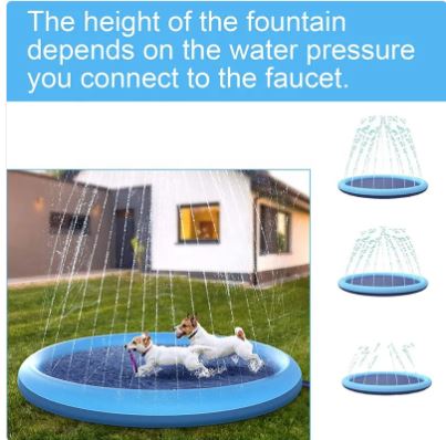 Cool Pup Splash Zone