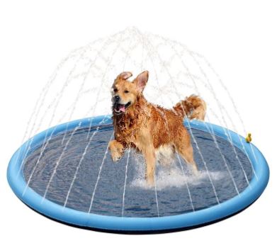 Cool Pup Splash Zone