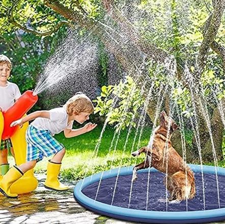 Cool Pup Splash Zone